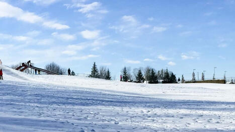Pas assez d&rsquo;arbres chez vous? Voici la ville qui veut vous faire payer | Ils parlent de nous ! | Scoop.it