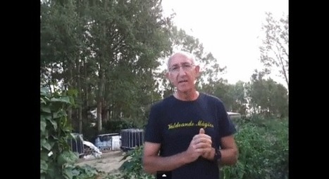 El glutamato monosodico (E-621) nos envenena lentamente | PIENSA en VERDE | Scoop.it