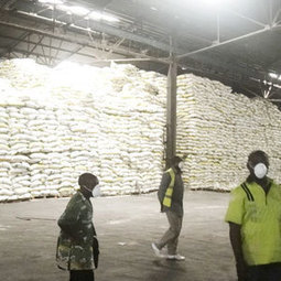 Polémique autour de 7000 tonnes de riz toxique bloquées au port de Douala (Cameroun) | Toxique, soyons vigilant ! | Scoop.it