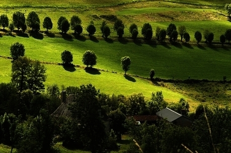 Infrastructures agro-écologiques : quelle échelle d'action ? | Biodiversité | Scoop.it