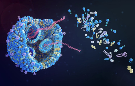T-Cell Response to mRNA Vaccine Improved with Cytokine Adjuvant | Virus World | Scoop.it
