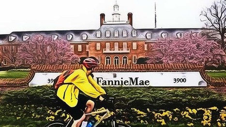 Why Shareholders Still Won’t Get Any Fannie | Corporate governance - Vigil | Scoop.it