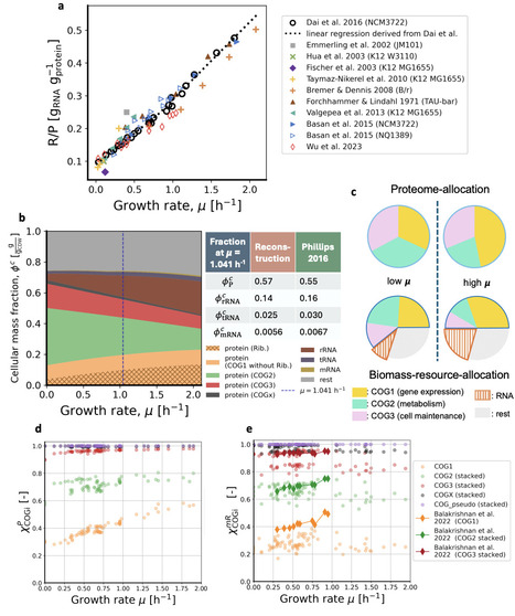 Mechanistic modeling of bacterial translation initiation across growth conditions | brvq | RMH | Scoop.it