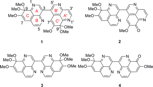 Suberitine A&ndash;D, Four New Cytotoxic Dimeric Aaptamine Alkaloids from the Marine Sponge Aaptos suberitoides | Natural Products Chemistry Breaking News | Scoop.it