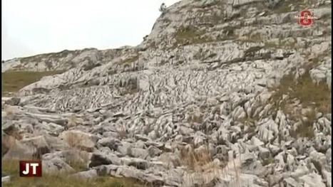 Abattage de bouquetins du Bargy: La brucellose pourrait être la «partie émergée de l’iceberg» | Planète, Nature et Biodiversité | Scoop.it