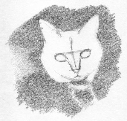 How To Draw A Cat In Four Steps (more or less) | Drawing and Painting Tutorials | Scoop.it