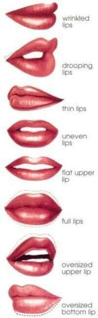 lip shape chart