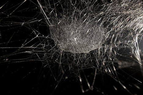Tomas Saraceno: TS Cosmic Jive_the Spider Session | Art Installations, Sculpture, Contemporary Art | Scoop.it