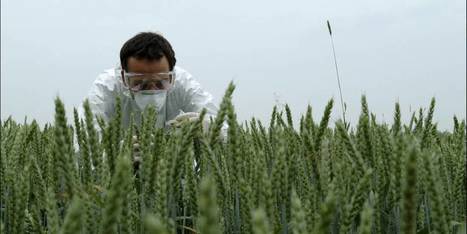 Monsanto sur le banc des accusés | Home | Scoop.it