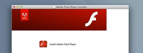 Sicherheitslücke: Experten raten zum sofortigen Abschalten des Flash-Players | CyberSecurity | ICT Security-Sécurité PC et Internet | Scoop.it