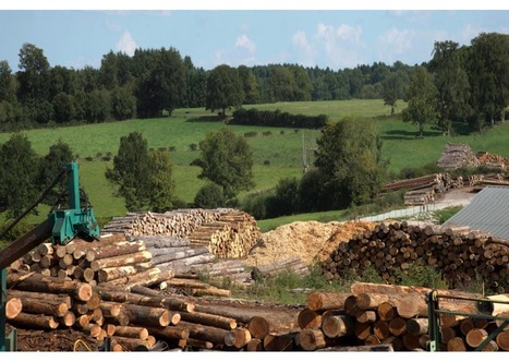 Filière bois : 1,5 million d’euros pour l’accompagnement de projets territoriaux | Vallées d'Aure & Louron - Pyrénées | Scoop.it