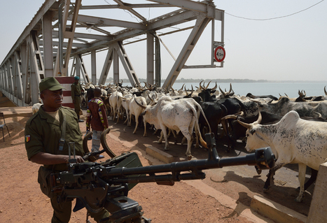 Mali endures in conflict | Best of Photojournalism | Scoop.it