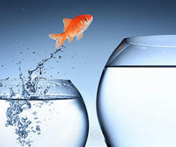 Digital Transformation Is About New Business Models, Not New Tech | Digital Transformation Leadership | Scoop.it