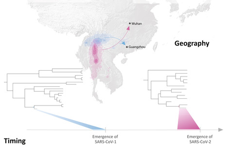 The Recency and Geographical Origins of the Bat Viruses Ancestral to SARS-CoV and SARS-CoV-2 | Virus World | Scoop.it