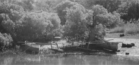 Mayotte : Une approche des mangroves par les « pratiques et imaginaires » - Outremers360 | Biodiversité | Scoop.it