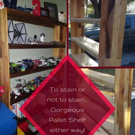 Two-tone Pallet Display Shelf Doubles As Bookshelf! | 1001 Pallets ideas ! | Scoop.it