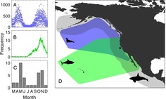 Prédation In Vie Marine Et Biodiversité Scoopit