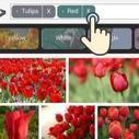 Microsoft takes the typing out of mobile image searching | ITProPortal.com | Android and iPad apps for language teachers | Scoop.it