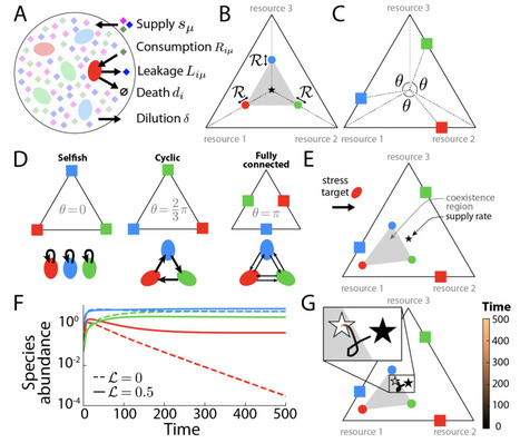 The network structure of cross-feeding impacts microbial community diversity under growth-inhibiting stresses | Brveco | RMH | Scoop.it