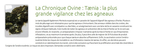 » La Chronique Ovine : Tænia : la plus grande vigilance chez les agneaux | SCIENCES DE L' ANIMAL | Scoop.it
