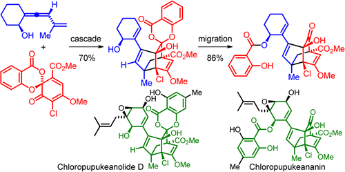 Unexpected Diels&ndash;Alder/Carbonyl-ene Cascade toward the Biomimetic Synthesis of Chloropupukeananin | Natural Products Chemistry Breaking News | Scoop.it