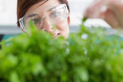Un appel à projet pour attirer des chercheurs prometteurs - Région Pays de la Loire | Agriculture en Pays de la Loire | Scoop.it