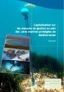 Retours d'expériences des gestionnaires AMP de Méditerranée (2017) - Forum des gestionnaires d'aires marines protégées | Biodiversité | Scoop.it