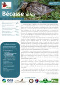 Bécasse infos - Lettre annuelle du réseau n° 32 | Biodiversité | Scoop.it