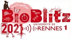 BioBlitz les 25 et 26 septembre 2021, Campus de Beaulieu à Rennes | Variétés entomologiques | Scoop.it