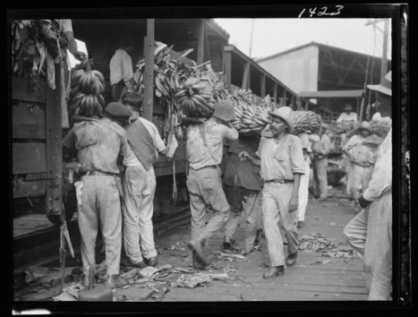 The Sweet Success Of Bananas Foster Has An Unsavory Past | Coastal Restoration | Scoop.it