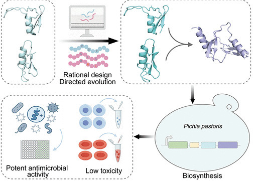 Rational Engineering and Biosynthesis of Defens...