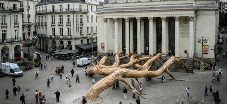 Les arbres, stars de l’été au Voyage à Nantes | Les clefs du Van | Scoop.it