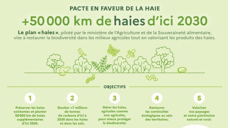 Infographie - Pacte en faveur de la haie | Insect Archive | Scoop.it