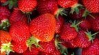 Fears raised over teenage diets | News for Discussion | Scoop.it