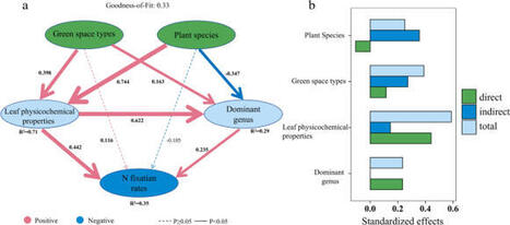 Asymbiotic Nitrogen Fixation in the Phyllosphere of Urban Green Spaces | Plant-Microbe Symbiosis | Scoop.it
