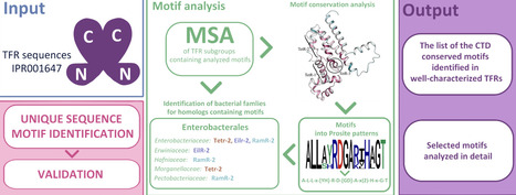 Conserved Motifs in the Ligand-Binding Domain of TetR Family Regulators: Identification and Analysis | csb | RMH | Scoop.it