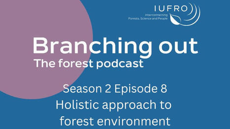 IUFRO Podcast Episode 8: holistic approach to FOREST environment | CIHEAM Press Review | Scoop.it