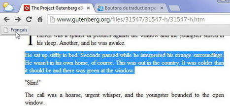Traduction en ligne : un bookmarklet pour Google traduction | Time to Learn | Scoop.it