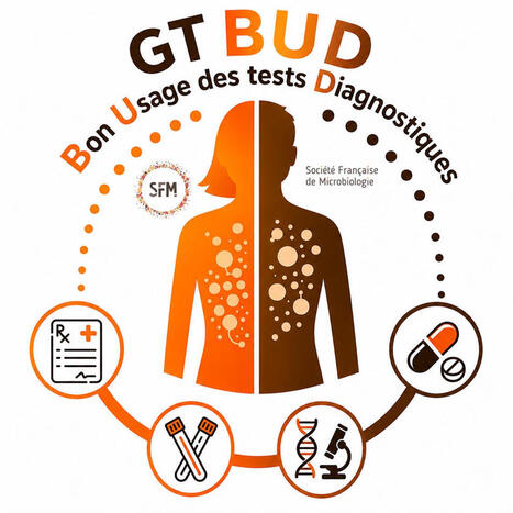 Tr&egrave;s belle initiative de la SFM que ce nouveau GT pour le Bon Usage des tests Diagnostiques avec encore beaucoup de choses &agrave; faire et un appel &agrave; toutes les bonnes volont&eacute;s ... | Alban Le Monnier | Laboratory Medicine | Scoop.it
