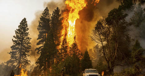 Almost 40% of western wildfires traced to carbon emissions | Sustainability Science | Scoop.it