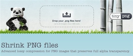 TinyPNG, aplicación para comprimir imágenes PNG sin perder calidad | Las TIC y la Educación | Scoop.it