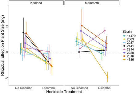 Can the right partner mitigate harm? Rhizobial strains vary in their mediation of herbicide stress in a plant-rhizobia mutualism | Plant-Microbe Symbiosis | Scoop.it