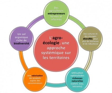 Rapport annuel 2014 sur l'agro-écologie | Ecologie & société | Scoop.it