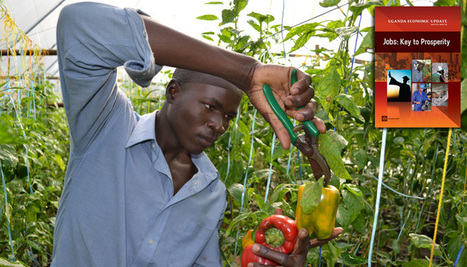 Employment Opportunities Critical to Uganda's Economic Growth | Trending in Uganda | Scoop.it