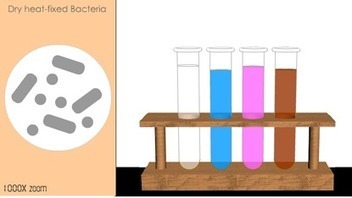 Gram Stain | LearnDAT (Learning Design and Technology) | iOERs, LORs, & Interactive Learning Materials (ILMs) | Scoop.it