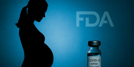 Top FDA official admits she refused the Covid-19 vaccine while pregnant | Hésitations Vaccinales: Observatoire HESIVAXs | Scoop.it