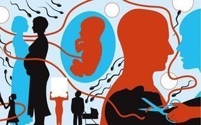 Projet de loi de bioéthique : recherche sur l’embryon (art. 14) | Bioéthique & Procréation | Scoop.it