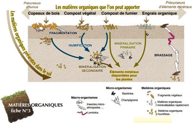 La Matière Organique Les Sols Vivants 4136