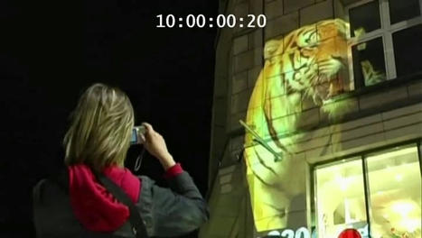 WWF - Silence of the Pandas - video | Geopolitik - mein Blick auf die Welt | Scoop.it