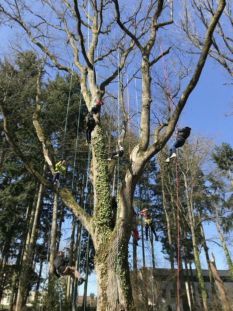 Fête de l'écotourisme, une grande journée d'animations en Eure-et-Loir pour vous faire grimper aux arbres | Stratégie de territoires et offices de tourisme | Scoop.it
